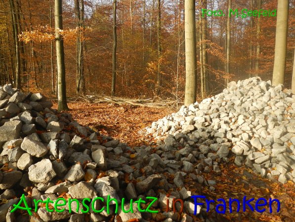 Copyright AiS Seefeld Bild zum Eintrag (70727-160)