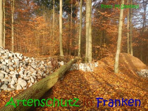 Copyright AiS Seefeld Bild zum Eintrag (70728-160)