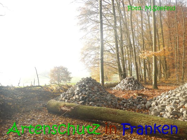 Copyright AiS Seefeld Bild zum Eintrag (70730-160)