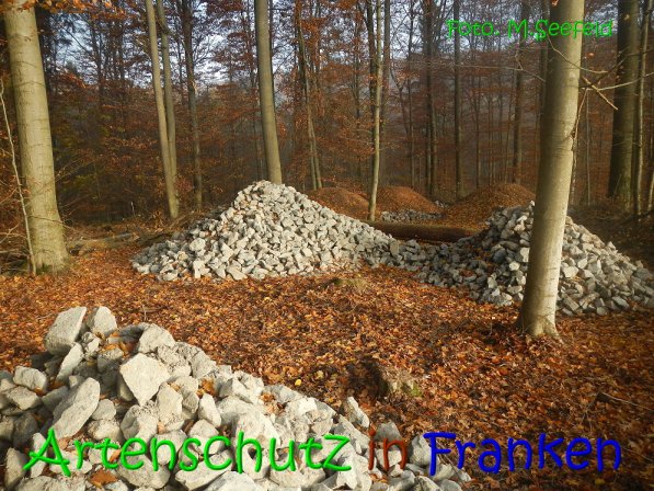 Copyright AiS Seefeld Bild zum Eintrag (70731-160)