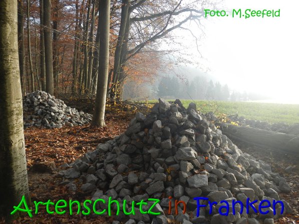 Copyright AiS Seefeld Bild zum Eintrag (70732-160)