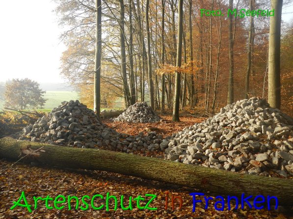 Copyright AiS Seefeld Bild zum Eintrag (70733-160)
