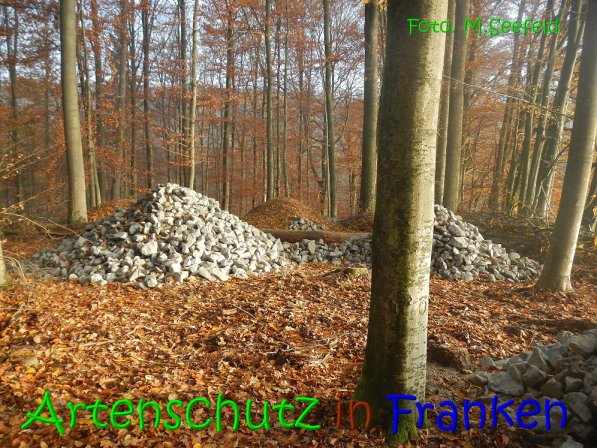 Copyright AiS Seefeld Bild zum Eintrag (70734-160)