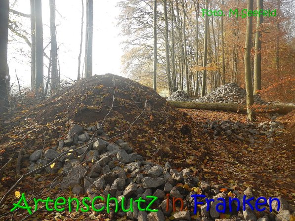 Copyright AiS Seefeld Bild zum Eintrag (70736-160)