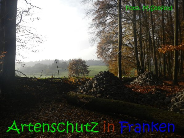Copyright AiS Seefeld Bild zum Eintrag (70740-160)
