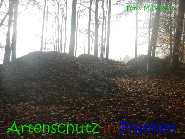 Copyright AiS Seefeld Bild zum Eintrag (70744-160)