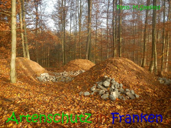Copyright AiS Seefeld Bild zum Eintrag (70745-160)