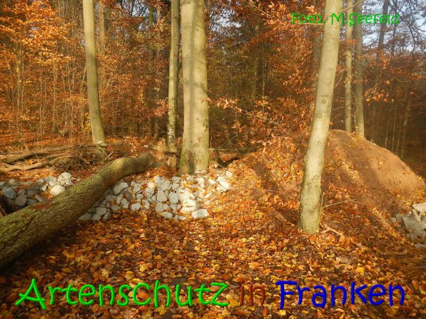 Copyright AiS Seefeld Bild zum Eintrag (70746-160)