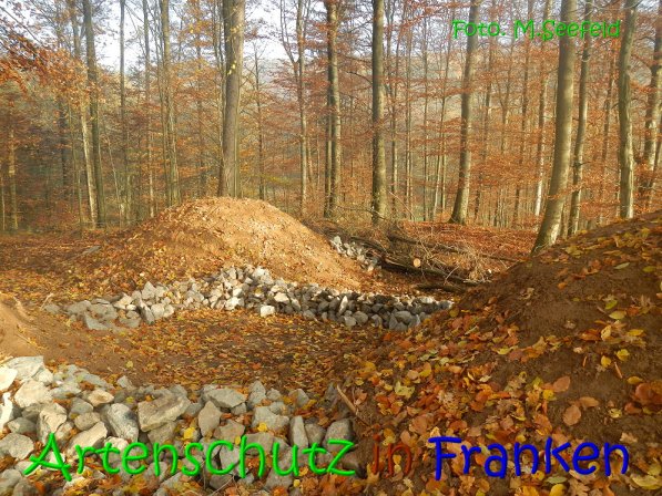 Copyright AiS Seefeld Bild zum Eintrag (70747-160)
