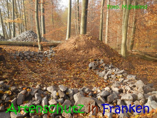 Copyright AiS Seefeld Bild zum Eintrag (70750-160)