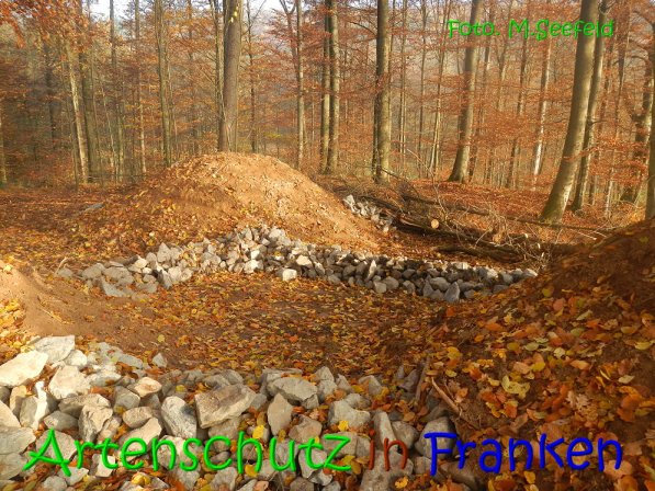 Copyright AiS Seefeld Bild zum Eintrag (70751-160)