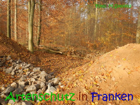Copyright AiS Seefeld Bild zum Eintrag (70752-160)