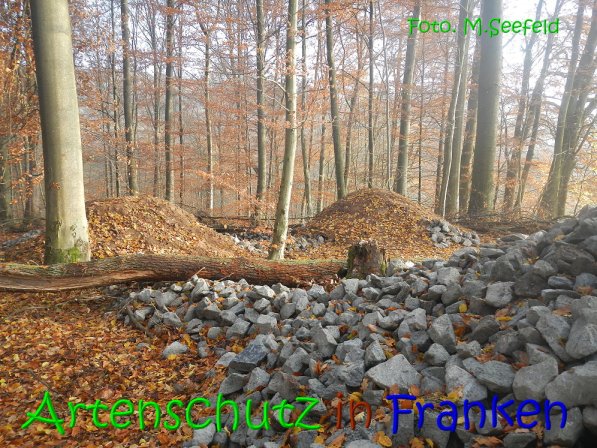 Copyright AiS Seefeld Bild zum Eintrag (70753-160)