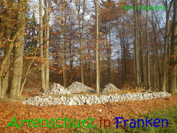 Copyright AiS Seefeld Bild zum Eintrag (70754-160)
