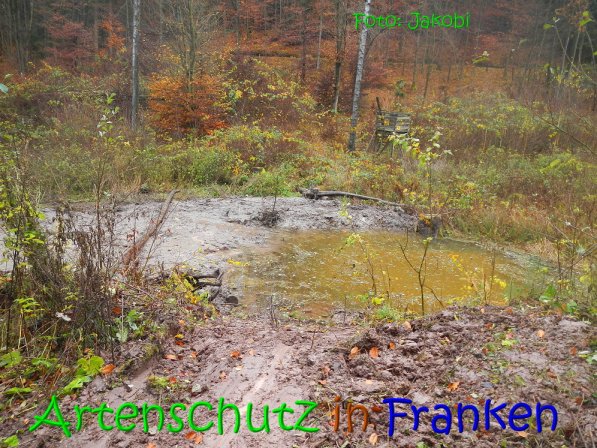 Copyright AiS Jakobi Bild zum Eintrag (70775-160)