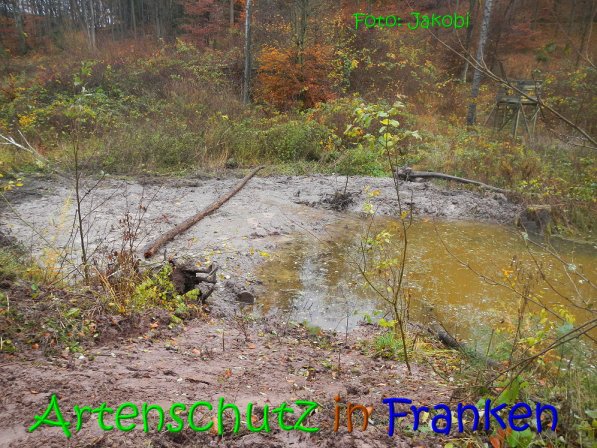 Copyright AiS Jakobi Bild zum Eintrag (70776-160)