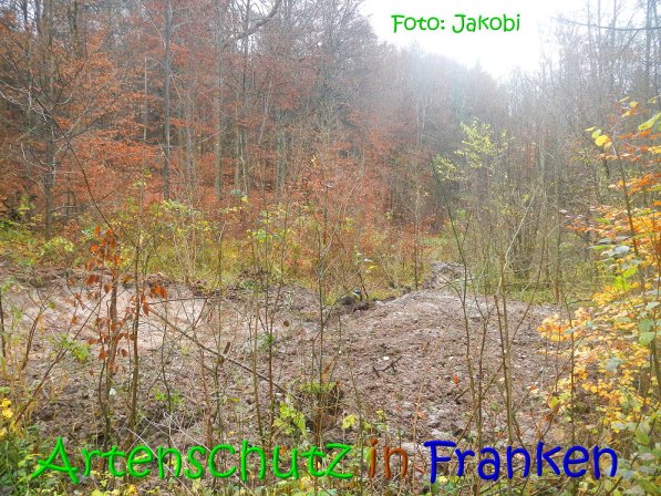 Copyright AiS Jakobi Bild zum Eintrag (70779-160)