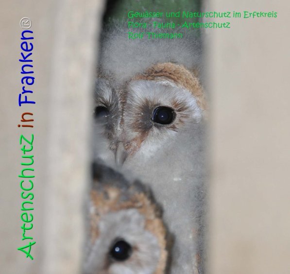Copyright AiS Rolf Thiemann Bild zum Eintrag (71172-160)