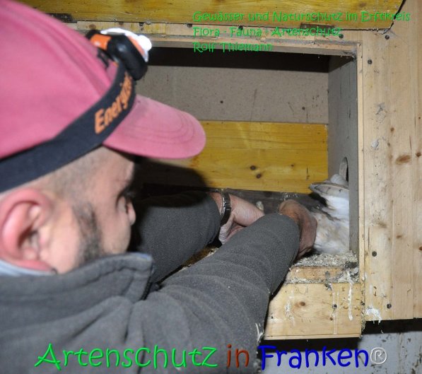 Copyright AiS Rolf Thiemann Bild zum Eintrag (71174-160)