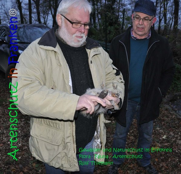Copyright AiS Rolf Thiemann Bild zum Eintrag (71175-160)