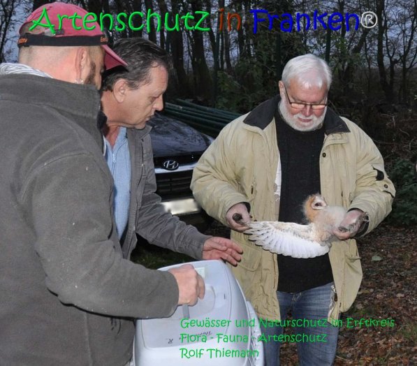 Copyright AiS Rolf Thiemann Bild zum Eintrag (71176-160)