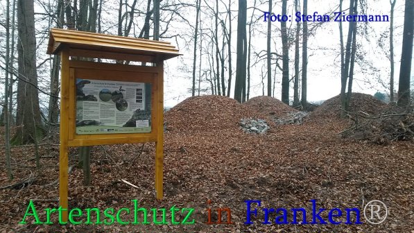 Copyright AiS Stefan Ziermann Bild zum Eintrag (71212-160)