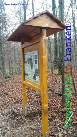 Copyright AiS Stefan Ziermann Bild zum Eintrag (71213-160)