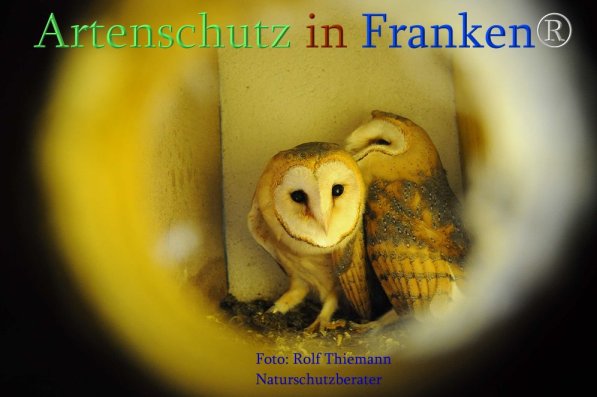 Copyright AiS Rolf Thiemann Bild zum Eintrag (71651-160)