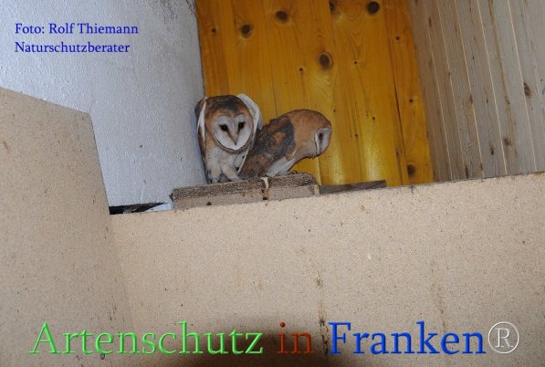 Copyright AiS Rolf Thiemann Bild zum Eintrag (71652-160)