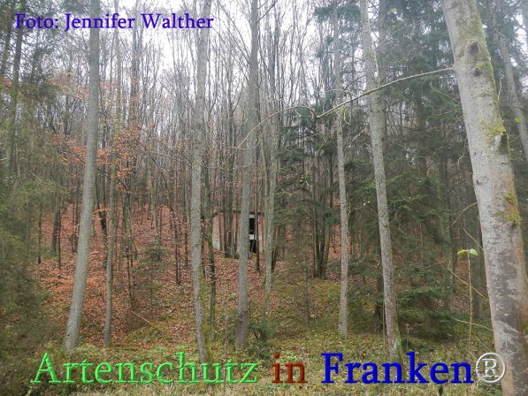 Copyright AiS Walther Bild zum Eintrag (71680-160)