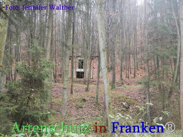 Copyright AiS Walther Bild zum Eintrag (71681-160)
