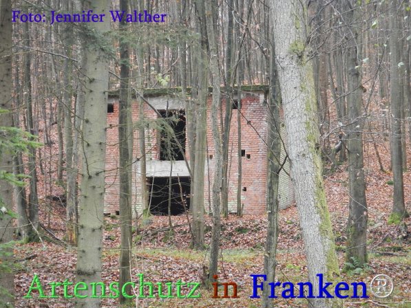 Copyright AiS Walther Bild zum Eintrag (71682-160)