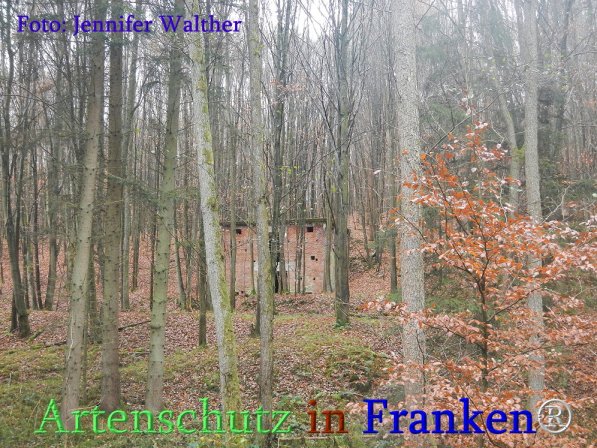 Copyright AiS Walther Bild zum Eintrag (71683-160)