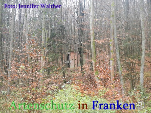 Copyright AiS Walther Bild zum Eintrag (71684-160)