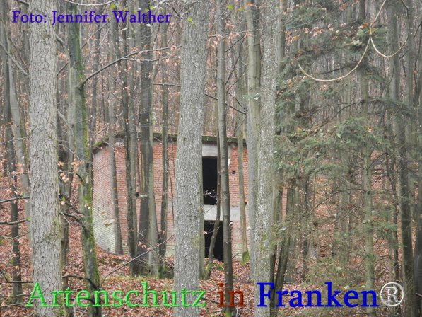 Copyright AiS Walther Bild zum Eintrag (71685-160)