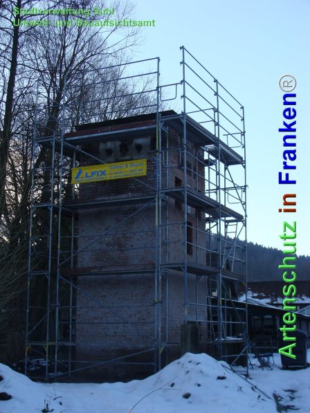 Copyright AiF Umweltamt der Stadt Suhl Bild zum Eintrag (71749-160)