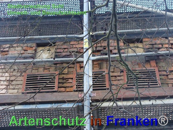 Bild zum Eintrag (71758-160)