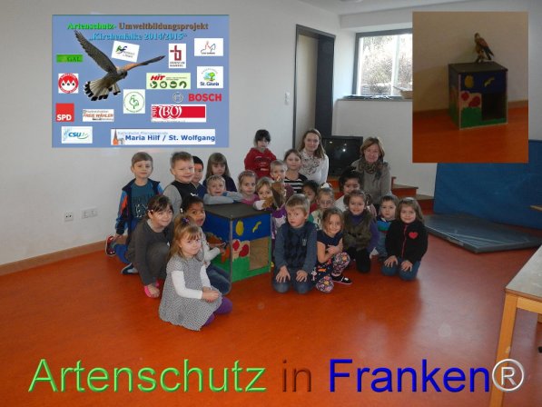 Copyright AiF Collage Petra Basel Bild zum Eintrag (72139-160)