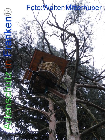 Copyright AiF Walter Mitterhuber Bild zum Eintrag (72297-160)