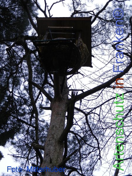 Copyright AiF Walter Mitterhuber Bild zum Eintrag (72299-160)