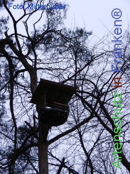 Copyright AiF Walter Mitterhuber Bild zum Eintrag (72300-160)