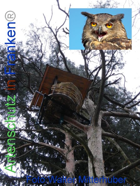 Copyright AiF Collage Wlter Mitterhuber / Andreas Gehrig Bild zum Eintrag (72301-160)