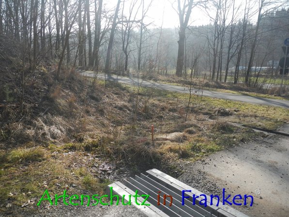 Copyright AiF Thomas Köhler Bild zum Eintrag (72428-160)