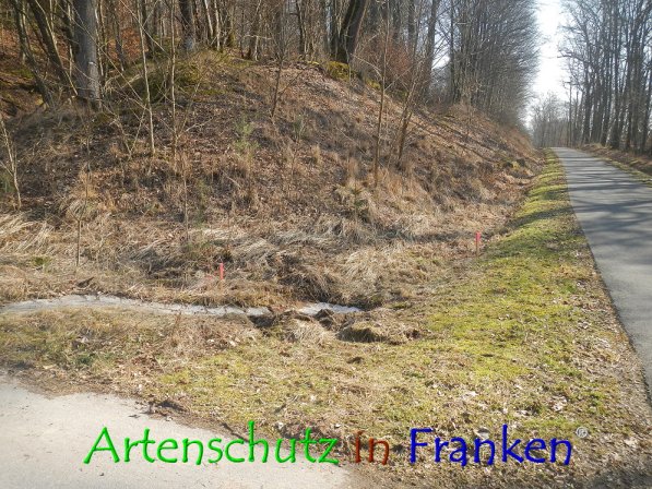 Copyright AiF Thomas Köhler Bild zum Eintrag (72430-160)