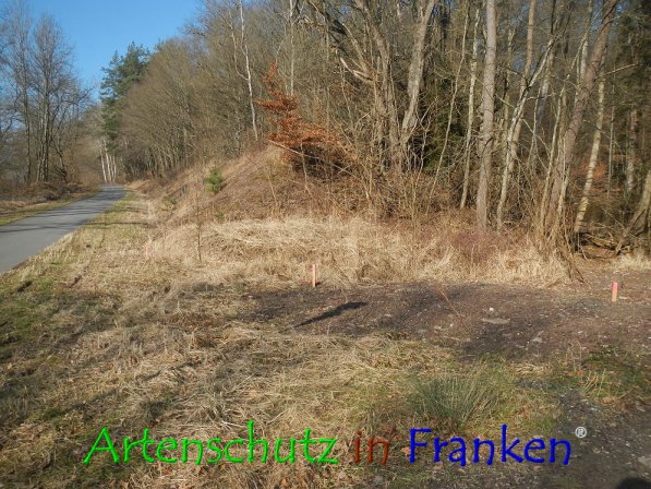 Copyright AiF Thomas Köhler Bild zum Eintrag (72432-160)