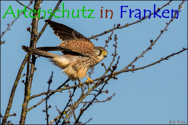 Copyright AiF Johannes Rother Bild zum Eintrag (72441-160)