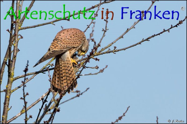 Copyright AiF Johannes Rother Bild zum Eintrag (72442-160)