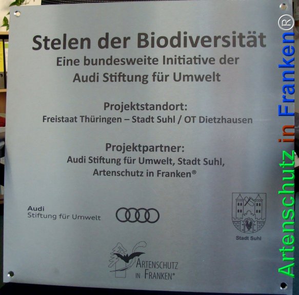 Copyright AiF Umweltamt der Stadt Suhl Bild zum Eintrag (72488-160)