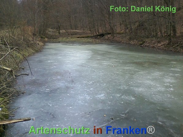 Bild zum Eintrag (72567-160)