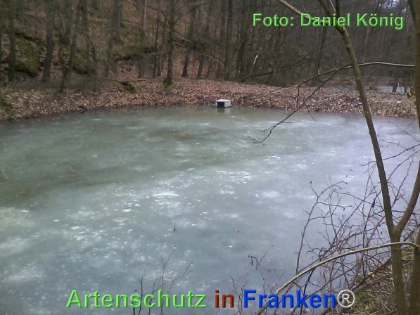 Bild zum Eintrag (72568-160)